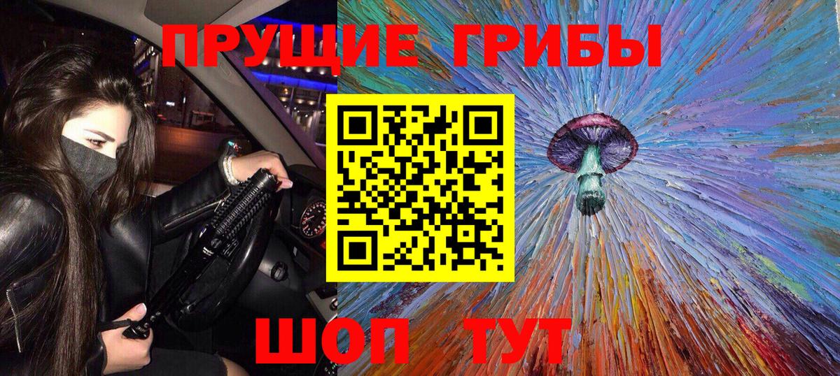 Галлюциногенные грибы Psilocybine cubensis  Галлюциногенные грибы Psilocybine cubensis  Артём  Вход с VPN 